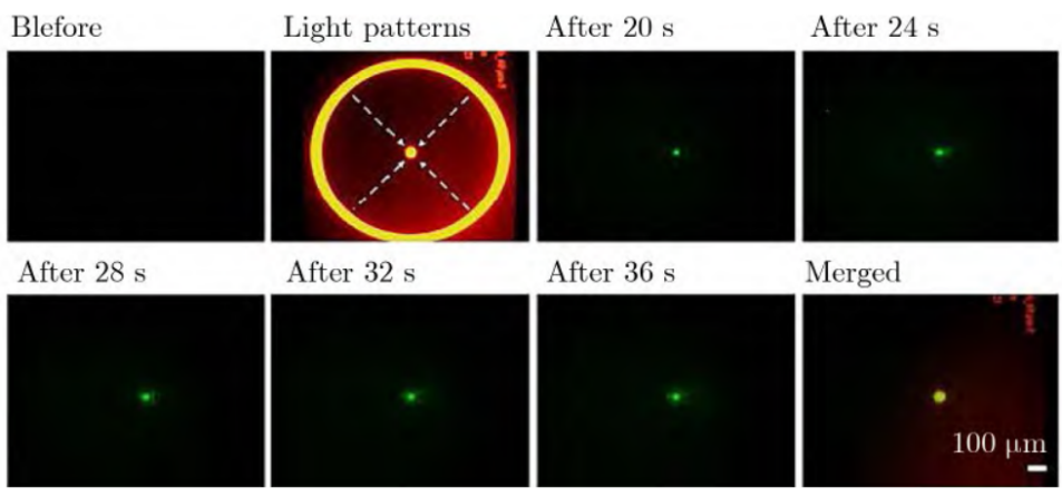 应用案例（五）光电镊技术在生物医药衍生场景的应用